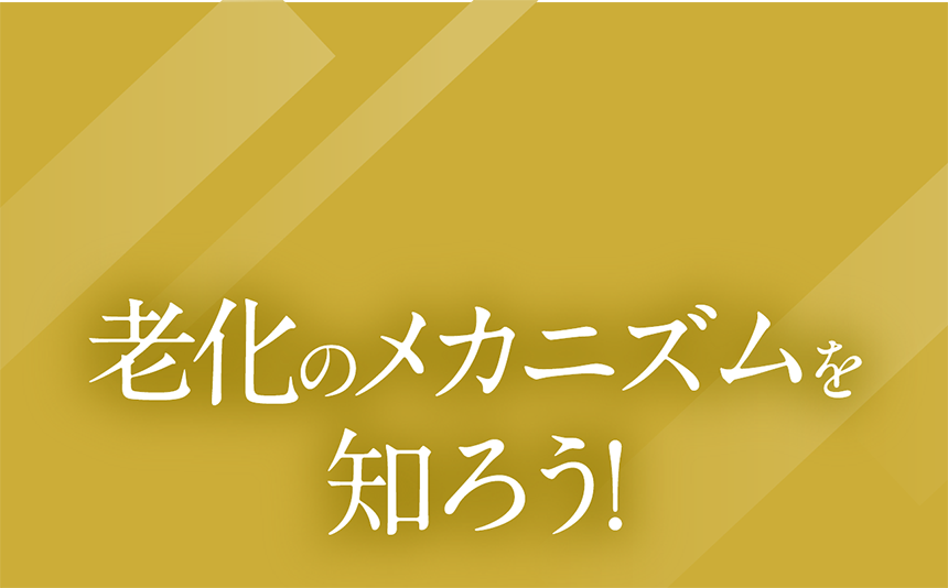 老化のメカニズムを知ろう！