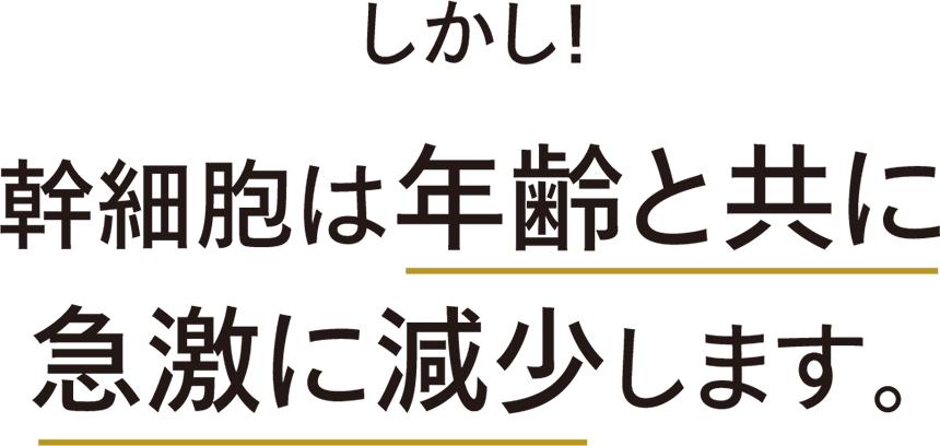 しかし！幹細胞は年齢と共に急激に減少します。